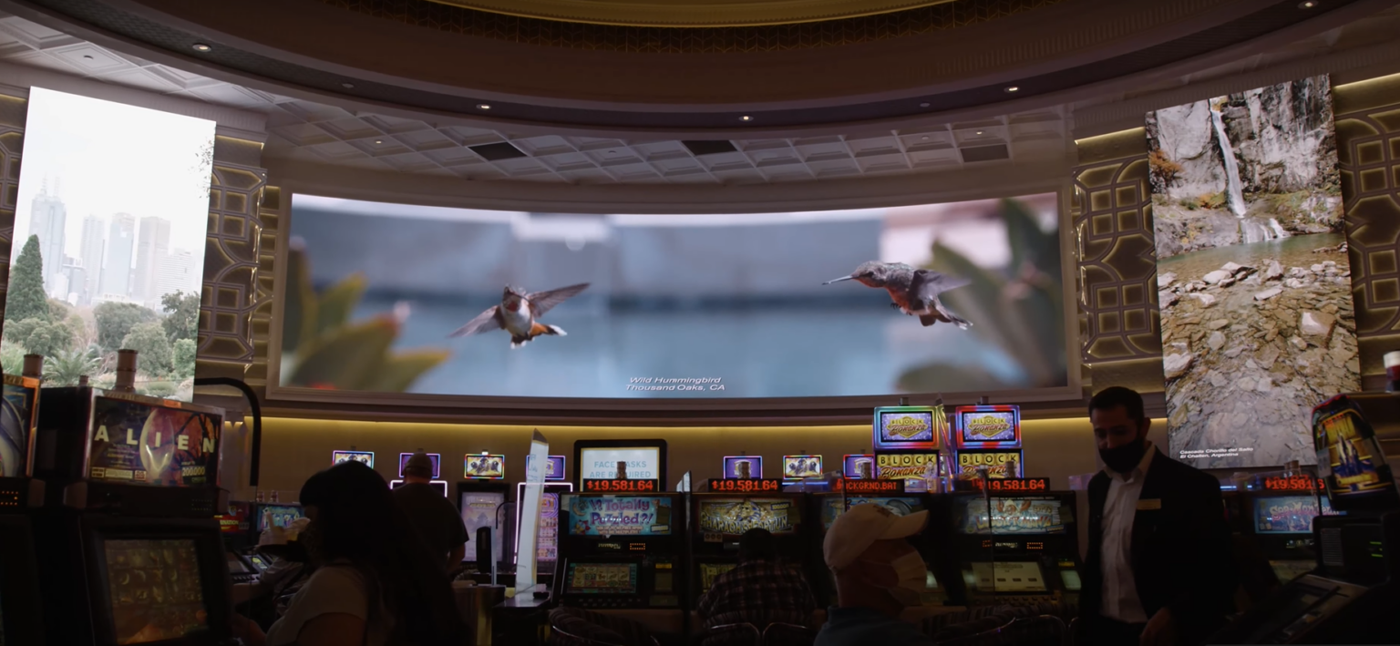 Windows of Peppermill